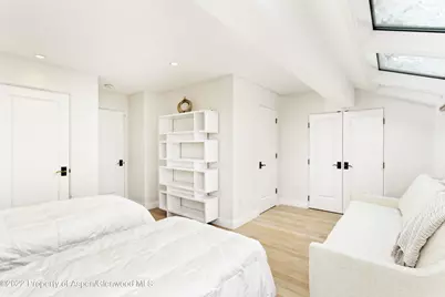 100 N 8th Street #20, Aspen, CO 81611 - Photo 11