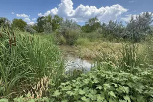 150 Creek St, Parachute, CO 81635 - Photo 29