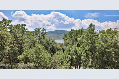 15699 Aspen Glen Lane, Collbran, CO 81624 - Photo 25