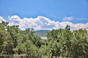 15699 Aspen Glen Ln, Collbran, CO 81624 - Photo 25