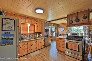 15699 Aspen Glen Ln, Collbran, CO 81624 - Photo 9