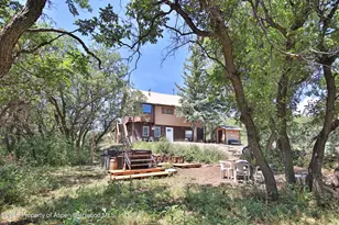 15699 Aspen Glen Ln, Collbran, CO 81624 - Photo 7