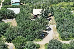15699 Aspen Glen Ln, Collbran, CO 81624 - Photo 3