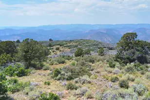 Tbd Old Spink Canyon Rd, Loma, CO 81524 - Photo 15