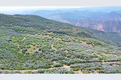 Tbd Old Spink Canyon Road, Loma, CO 81524 - Photo 21