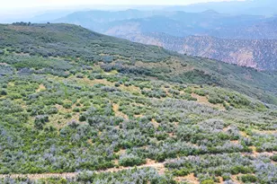 Tbd Old Spink Canyon Rd, Loma, CO 81524 - Photo 21