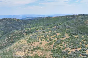 Tbd Old Spink Canyon Rd, Loma, CO 81524 - Photo 19
