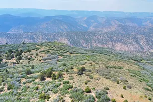 Tbd Old Spink Canyon Rd, Loma, CO 81524 - Photo 25