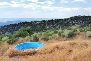 Tbd Old Spink Canyon Rd, Loma, CO 81524 - Photo 13