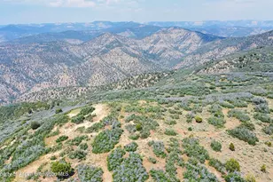 Tbd Old Spink Canyon Rd, Loma, CO 81524 - Photo 17