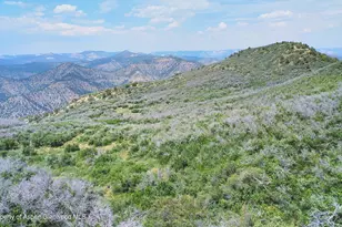 Tbd Old Spink Canyon Rd, Loma, CO 81524 - Photo 23