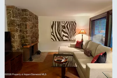 731 S Mill Street #2c, Aspen, CO 81611 - Photo 5
