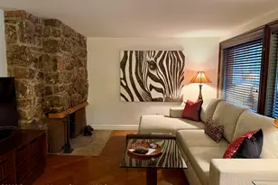 731 S Mill St, Aspen, CO 81611 - Photo 5
