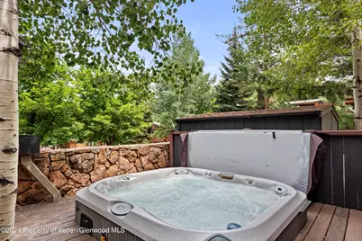 731 S Mill Street #2c, Aspen, CO 81611 - Photo 15