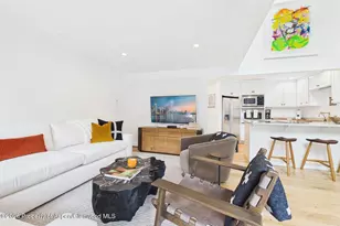 915 E Hopkins Ave, Aspen, CO 81611 - Photo 9