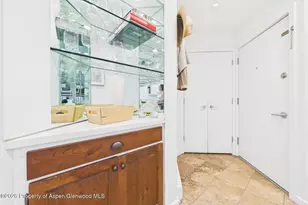 915 E Hopkins Ave, Aspen, CO 81611 - Photo 23