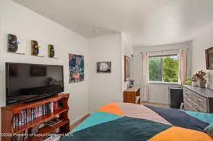 491 N 8th St, Carbondale, CO 81623 - Photo 19