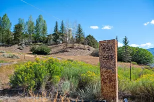 553 Brush Creek Rd, Aspen, CO 81611 - Photo 3