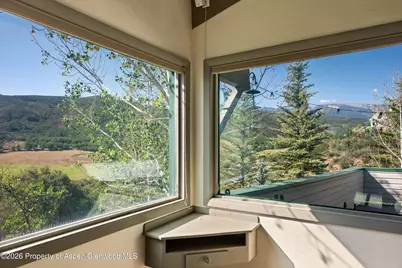 553 Brush Creek Road, Aspen, CO 81611 - Photo 7