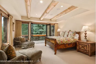 247 Willoughby Way, Aspen, CO 81611 - Photo 25