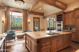 247 Willoughby Way, Aspen, CO 81611 - Photo 11