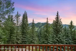 247 Willoughby Way, Aspen, CO 81611 - Photo 5