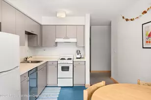 115 Boomerang Rd, Aspen, CO 81611 - Photo 9