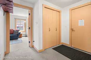 115 Boomerang Rd, Aspen, CO 81611 - Photo 29