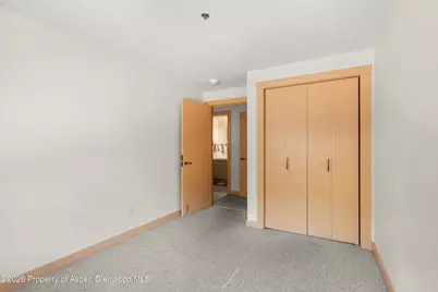 115 Boomerang Road #5309, Aspen, CO 81611 - Photo 19