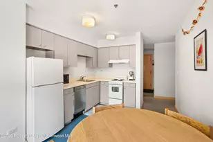 115 Boomerang Rd, Aspen, CO 81611 - Photo 11