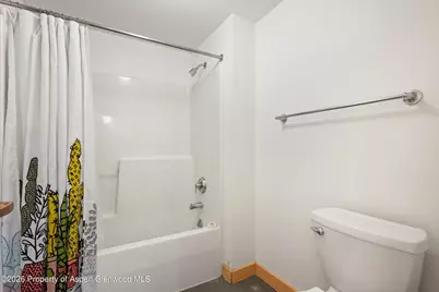 115 Boomerang Road #5309, Aspen, CO 81611 - Photo 27