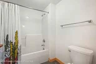 115 Boomerang Rd, Aspen, CO 81611 - Photo 27