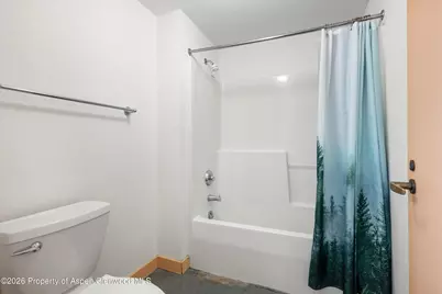 115 Boomerang Road #5309, Aspen, CO 81611 - Photo 27