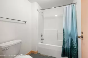 115 Boomerang Rd, Aspen, CO 81611 - Photo 27