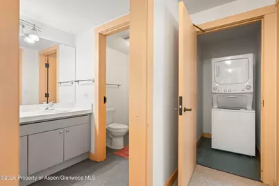 115 Boomerang Road #5309, Aspen, CO 81611 - Photo 23