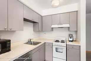 115 Boomerang Rd, Aspen, CO 81611 - Photo 11