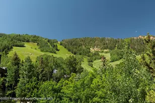 714 S Galena St, Aspen, CO 81611 - Photo 25