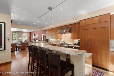 714 S Galena Street #B, Aspen, CO 81611 - Photo 7