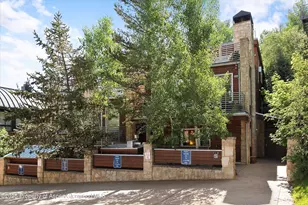714 S Galena St, Aspen, CO 81611 - Photo 41