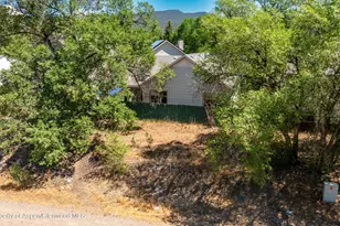 1007 Crown Dr, Carbondale, CO 81623 - Photo 13