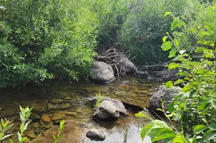 7900 Co Rd 41, Hamilton, CO 81638 - Photo 29