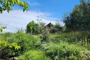 7900 Co Rd 41, Hamilton, CO 81638 - Photo 19
