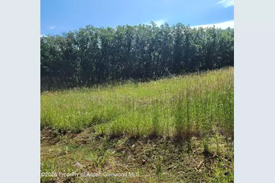 7900 County Road 41, Hamilton, CO 81638 - Photo 9