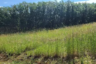 7900 Co Rd 41, Hamilton, CO 81638 - Photo 9