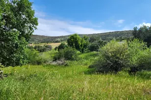 7900 Co Rd 41, Hamilton, CO 81638 - Photo 27