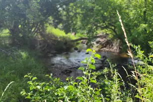 7900 Co Rd 41, Hamilton, CO 81638 - Photo 21