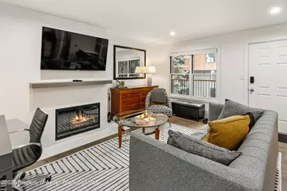 1020 E Durant Avenue #203, Aspen, CO 81611 - Photo 3