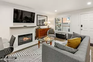 1020 E Durant Ave, Aspen, CO 81611 - Photo 3