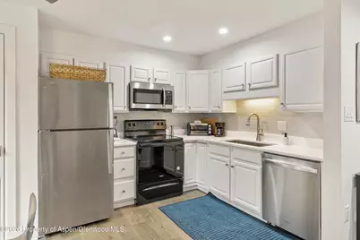 1020 E Durant Avenue #203, Aspen, CO 81611 - Photo 5