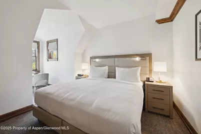 415 E Dean St, #47, Weeks 51/52, Aspen, CO 81611 - Photo 21